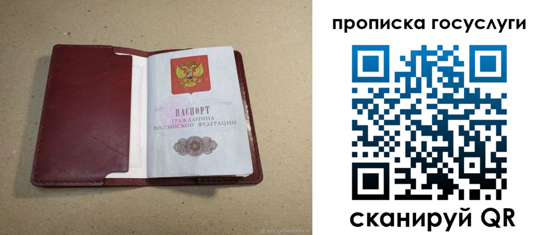 прописка поиск в Губкине